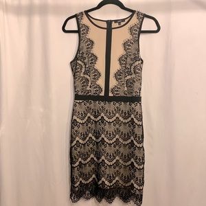 Cream & black lace mini dress